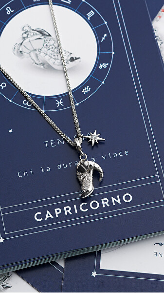 Pandantiv din argint Capricorn RZ166R