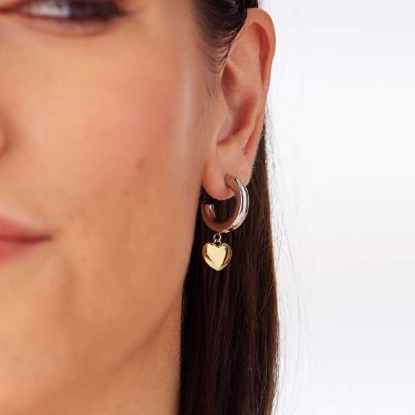 Kruhové bicolor náušnice s přívěsky ve tvaru srdce Aurora SAR67