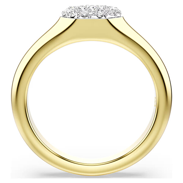 Pozlacený okouzlující prsten Dextera 573285