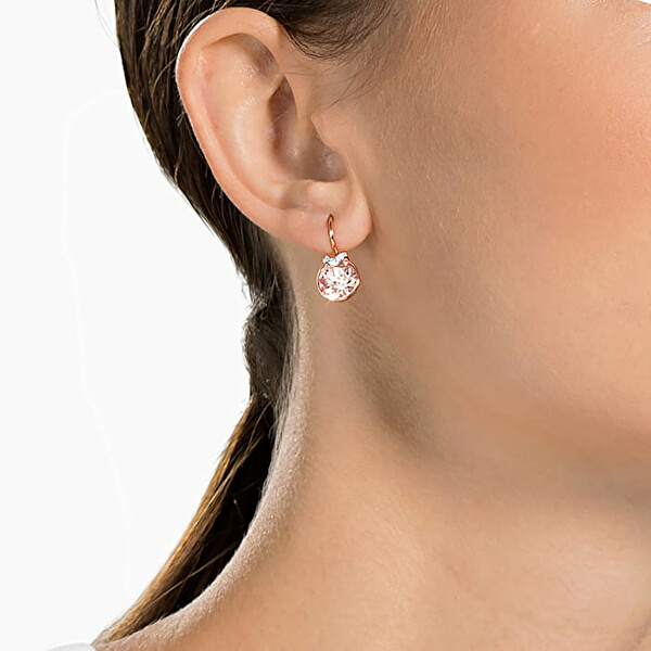 Affascinanti orecchini placcati in oro con cristalli Bella 5662114