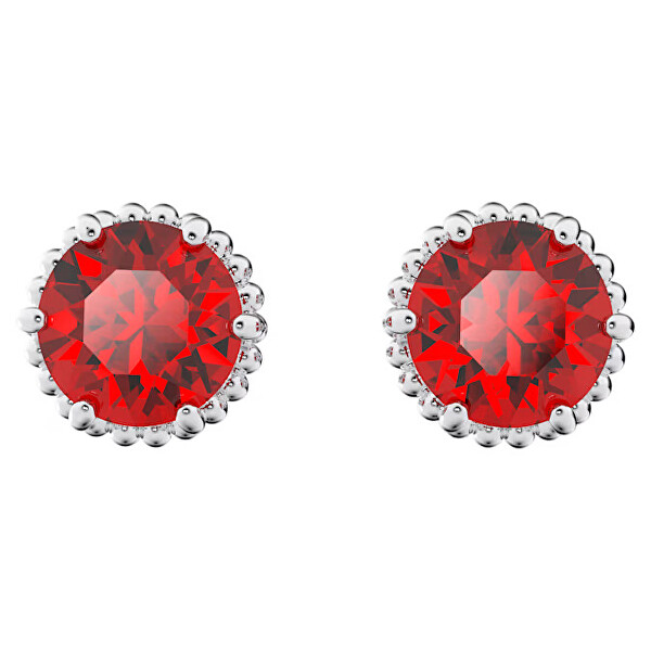 Schicke Ohrstecker für im Januar geborene Frauen Birthstone 5615516