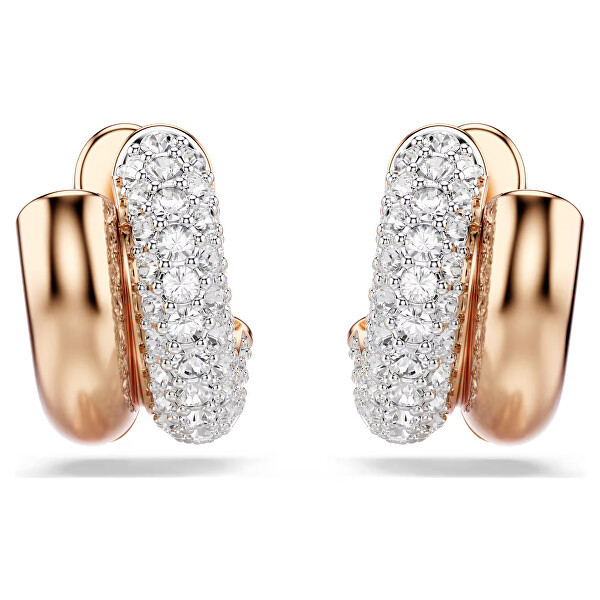 Štýlové náušnice so Swarovski kryštálmi Dextera 5738198