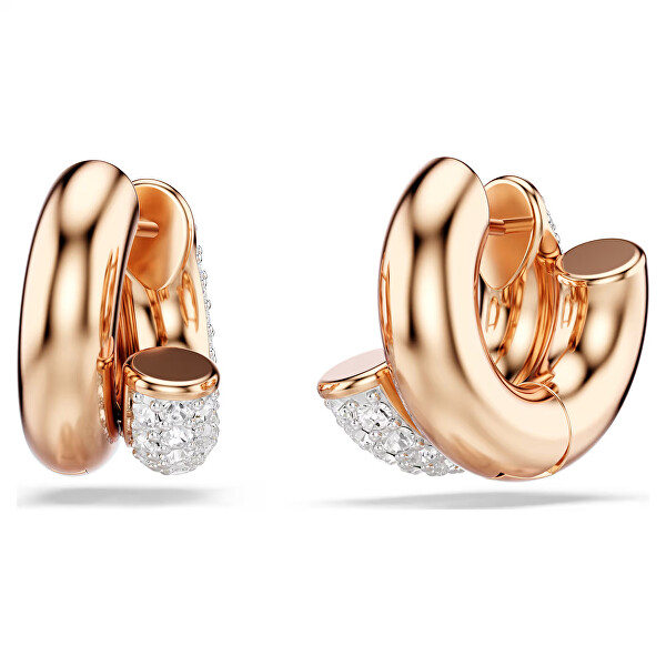 Štýlové náušnice so Swarovski kryštálmi Dextera 5738198