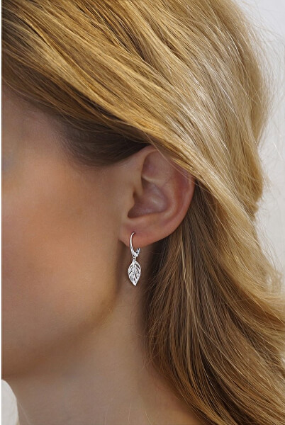 Splendidi orecchini in argento con zirconi Eria FW8765X