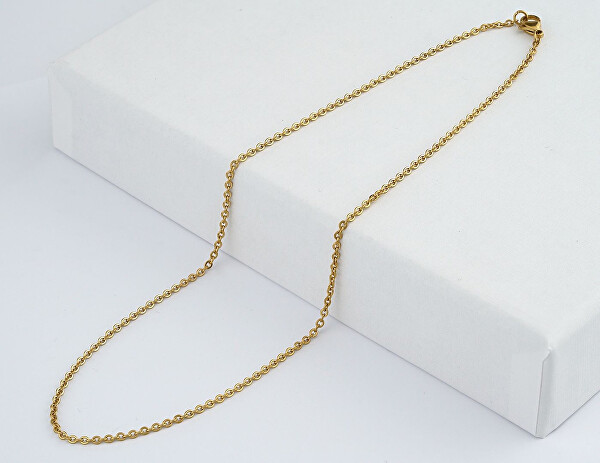 Pozlacený řetízek Anker Roma z chirurgické oceli 2 mm KMM24329