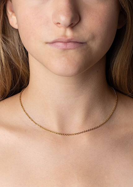 Pozlacený řetízek Anker Roma z chirurgické oceli 2 mm KMM24329
