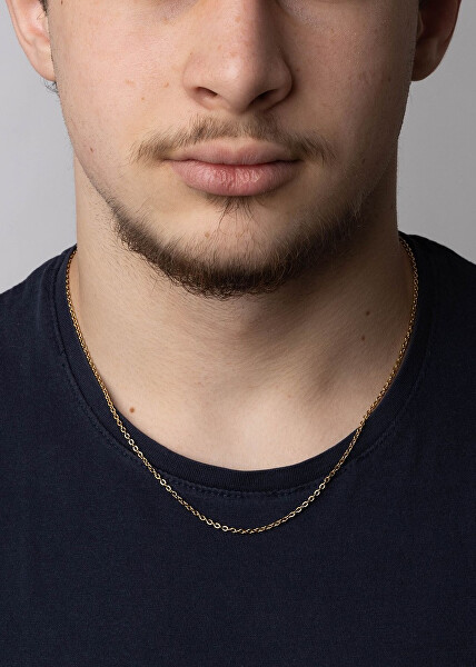 Pozlacený řetízek Anker Roma z chirurgické oceli 2 mm KMM24329