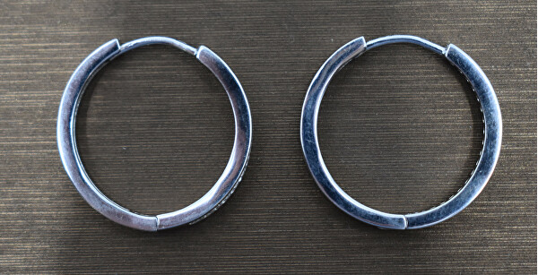 SLEVA - Elegantní kruhové náušnice ze stříbra AGUC2270