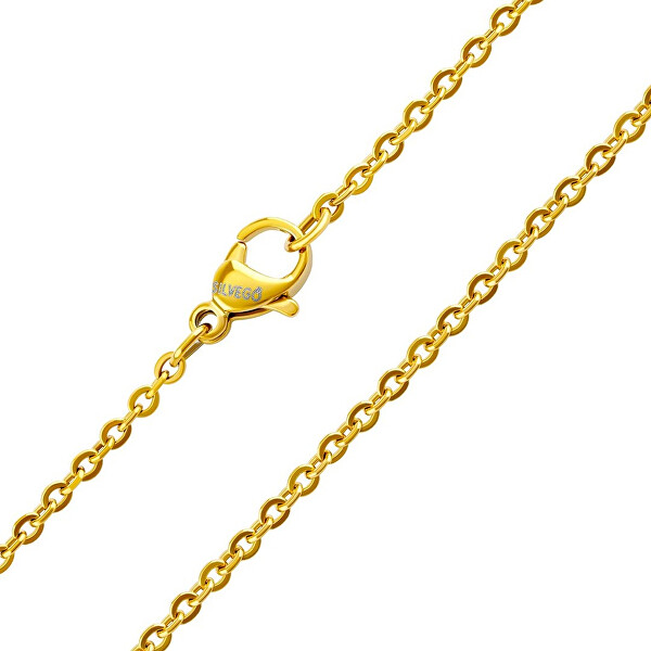 Pozlacený řetízek Anker Roma z chirurgické oceli 2 mm KMM24329