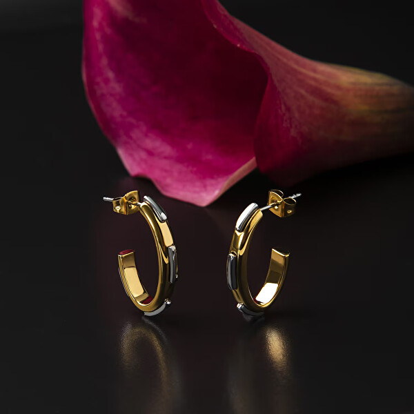 Kruhové bicolor náušnice z oceli Concept TJAYY09