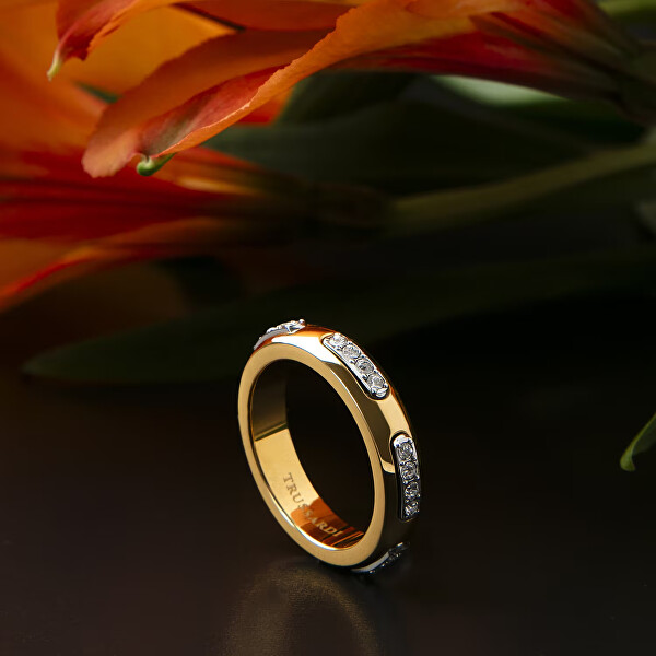 Třpytivý bicolor prsten z oceli Concept TJAYY110