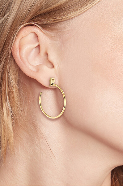 Modische vergoldete Ohrringe Kreise Monogram 2780720