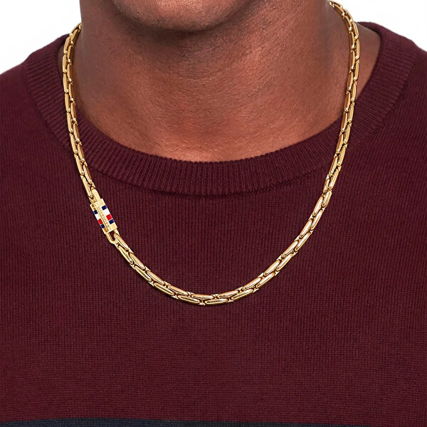 Luxusní pánský náhrdelník Men`s Chain 2790746