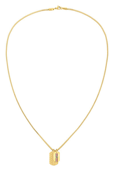 Nadčasový pozlátený náhrdelník pre mužov Casual 2790211