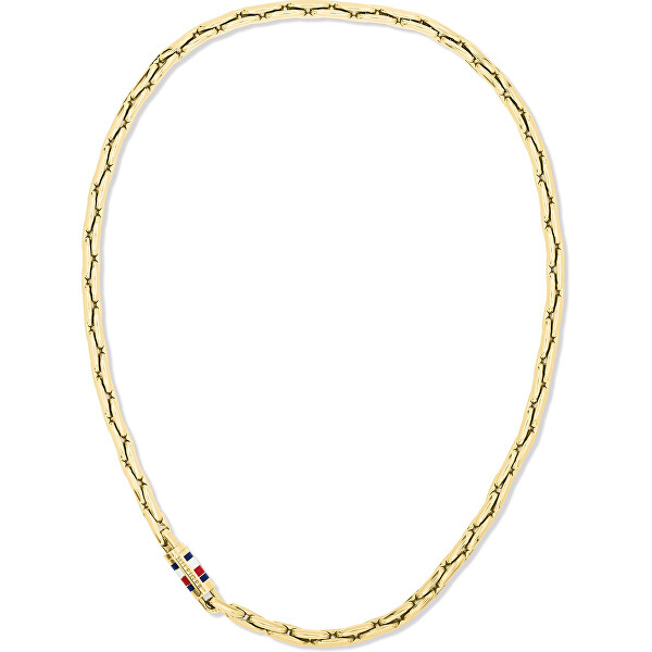 Luxusní pánský náhrdelník Men`s Chain 2790746