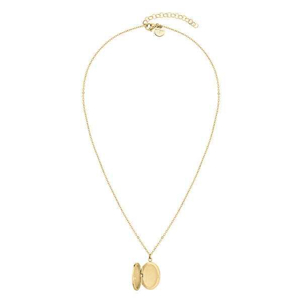 Elegante vergoldete Halskette mit Medaillon  TJ-0096-N-50