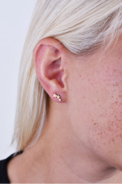 Moderne rosa vergoldete Ohrringe mit Sternen