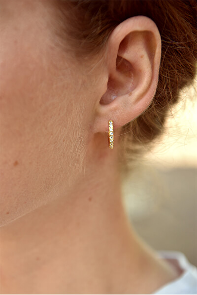 Vergoldete Ohrringe Kreise mit Kristallen VREPE003G