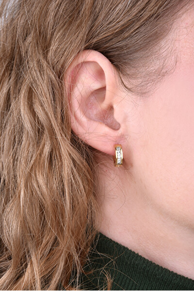 Vergoldete Stahl Ohrringe Kreise mit Kristallen