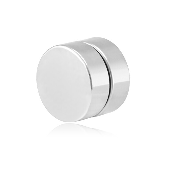 Magnetische Ohrringe aus Stahl 2 in 1 (Steine, Mini-Brosche) VSE6018S-PET