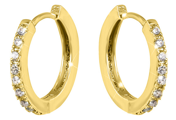 Vergoldete Ohrringe Kreise mit Kristallen VREPE003G