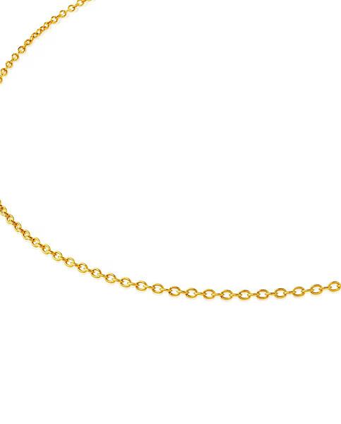 Elegantní zlatý řetízek Chain 214002040