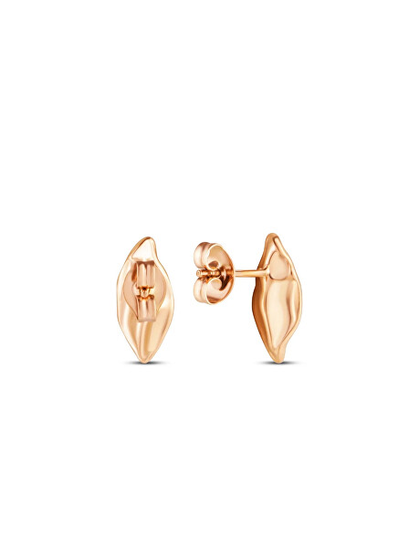 Bronzové náušnice s motivem lístečků Virela Rose Gold
