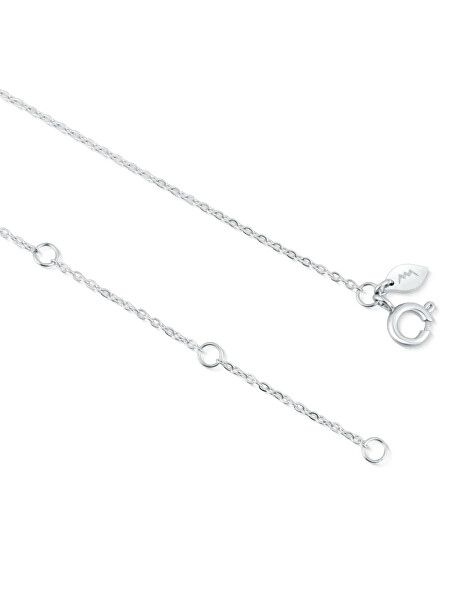 Krásný ocelový náhrdelník List Virela Silver