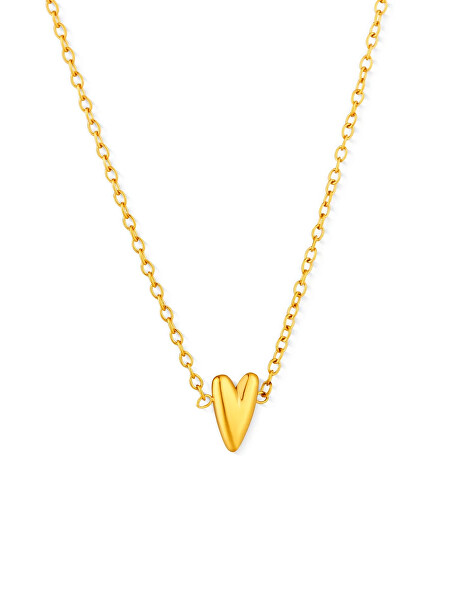 Ocelový náhrdelník s designovým srdcem Amora Gold