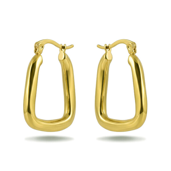 Oválne pozlátené náušnice Zyrelia Gold VWE260595G