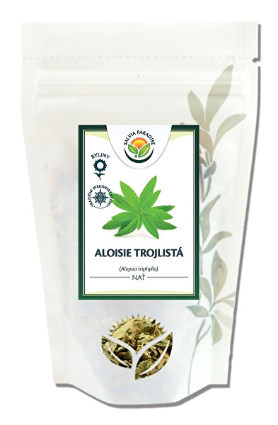 Aloisie trojlistá nať