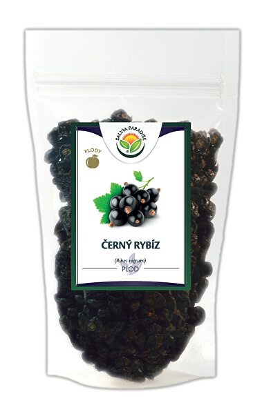 Černý rybíz plod