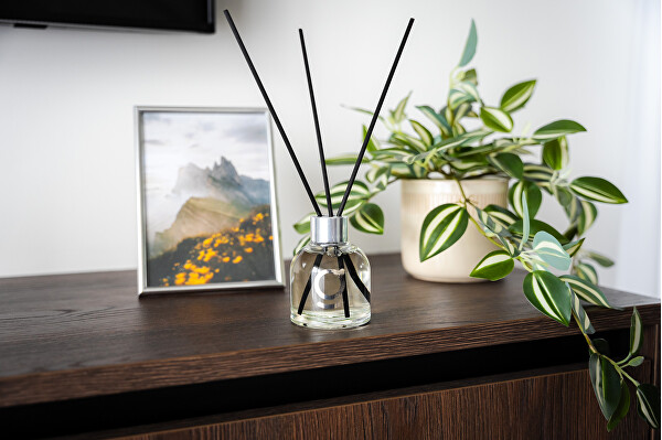 Vonný difuzér Ombi mořská sůl & dřevo 100 ml