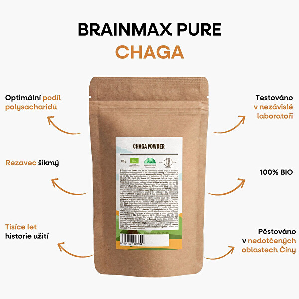 Chaga prášek BIO 100 g