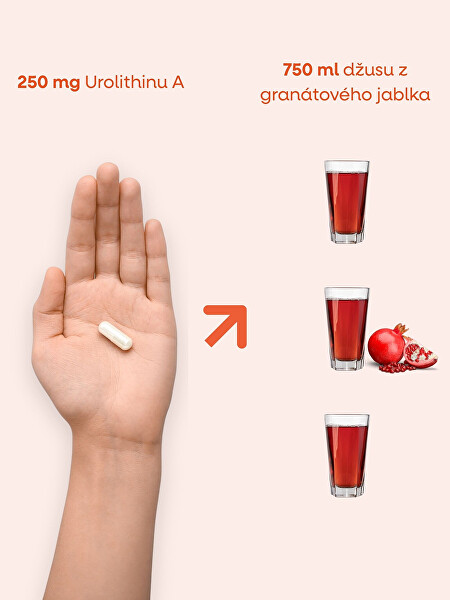 Enhanced Urolithin A 60 kapslí