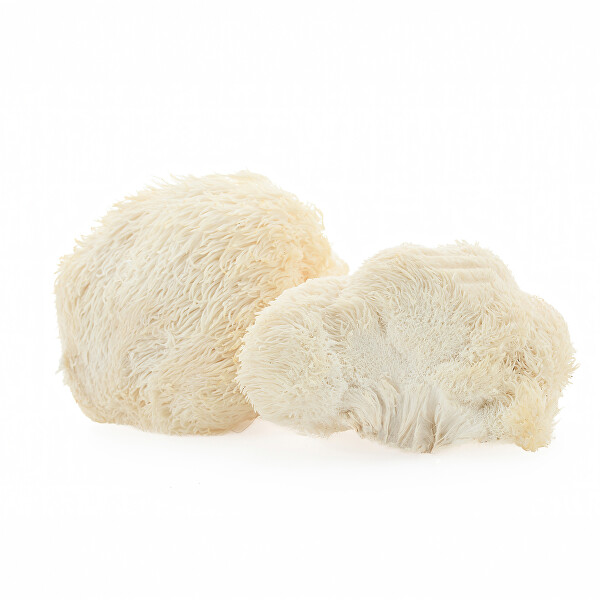 Lion`s Mane Hericium prášok BIO 100 g