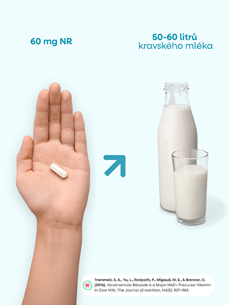 Longevity 150 kapslí