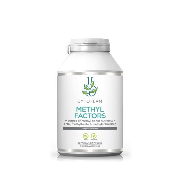 Methyl Faktory 60 kapslí
