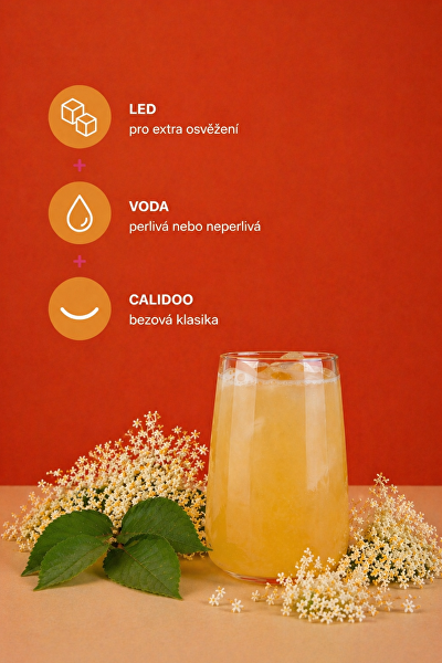 Černý bez - tekuté vitamíny s medem 500 ml