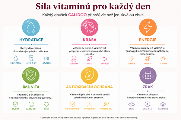 Zázvor, med, citron – tekuté vitamíny s medem 500 ml