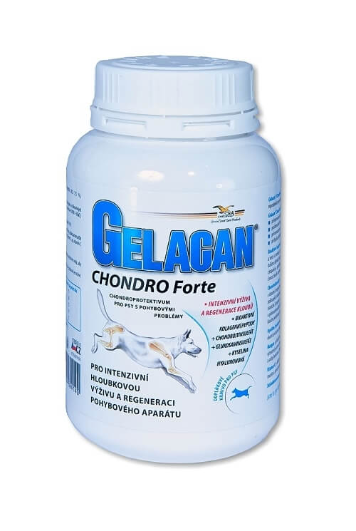 GELACAN Gelacan Chondro Forte 500 g + 2 mesiace na vrátenie tovaru
