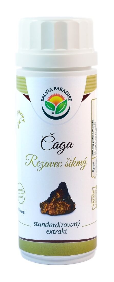 Zobrazit detail výrobku Salvia Paradise Čaga - Rezavec šikmý standardizovaný extrakt 100 kapslí