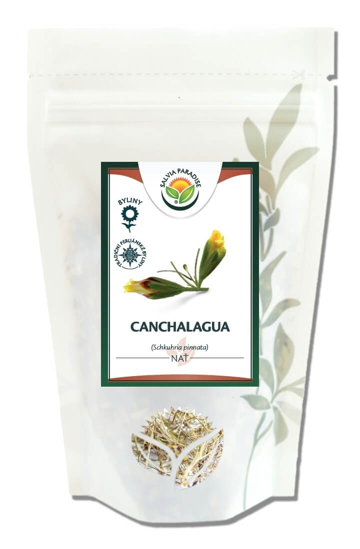 Zobrazit detail výrobku Salvia Paradise Canchalagua 30 g + 2 měsíce na vrácení zboží