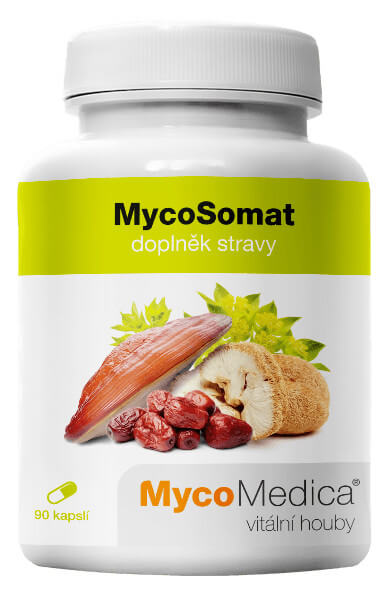 Zobrazit detail výrobku MycoMedica MycoSomat 90 kapslí + 2 měsíce na vrácení zboží